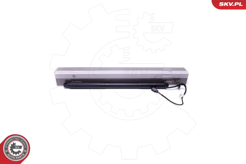 Electric Motor, tailgate